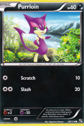 Purrloin 66/114