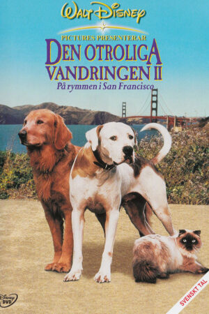 Den otroliga vandringen 2