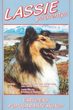 Lassie på äventyr