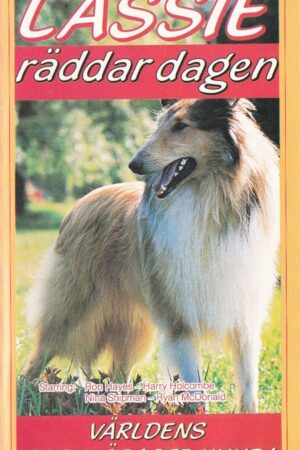Lassie räddar dagen