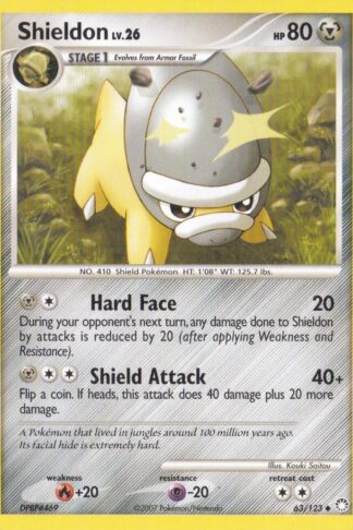 Shieldon 63/123