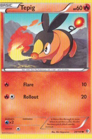 Tepig 24/149